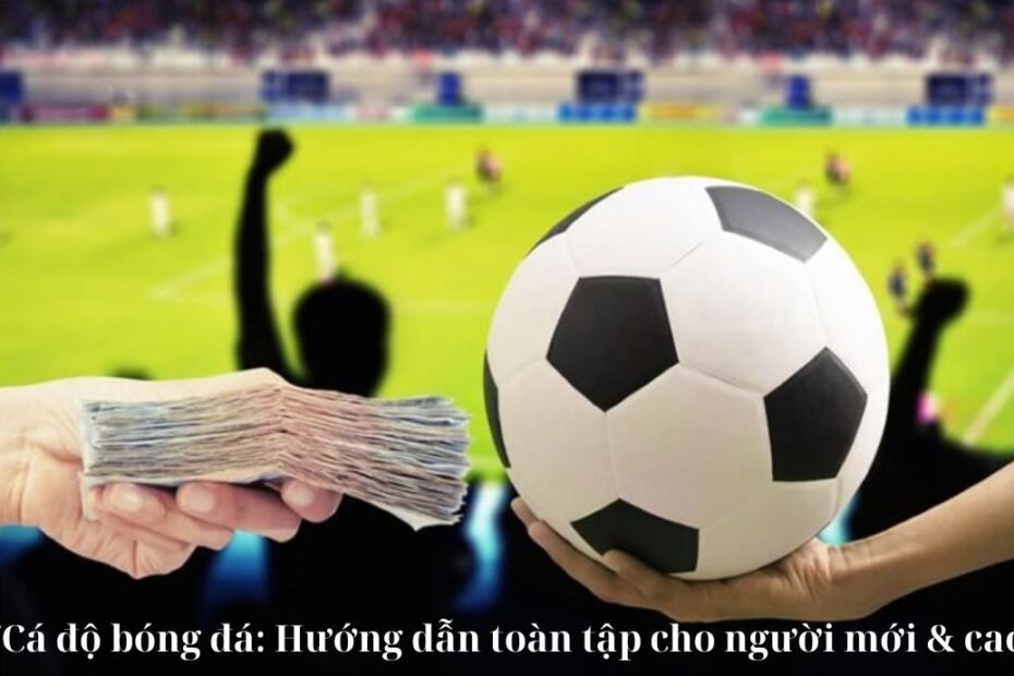 Cá độ bóng đá